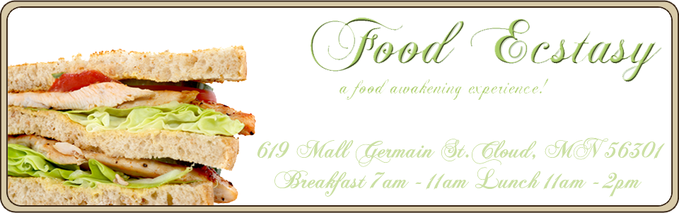 Food Ecstasy Banner